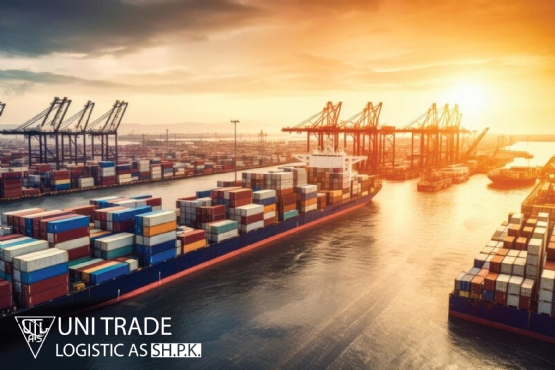 Uni trade logistic, Agjenci doganore ne tirane, Tarifat e zhdoganimit te makinave, Zhdoganimi i makinave cmimet, Cmimi i zhdoganimit te makinave ne Shqiperi, Zhdoganimi i makinave euro 4, Perjashtim nga detyrimet doganore